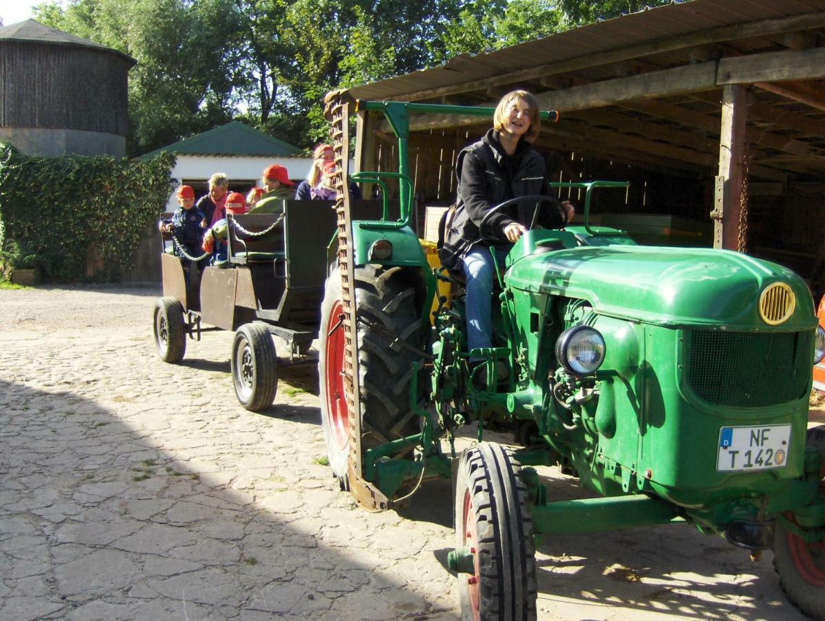 Hof Herzleuchten, Familie Groth Garding-Kirchspiel エクステリア 写真